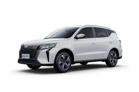 الصين مخصصة جيلي هاويو برو 2025 نماذج متوسط الحجم كروس اوفر SUV